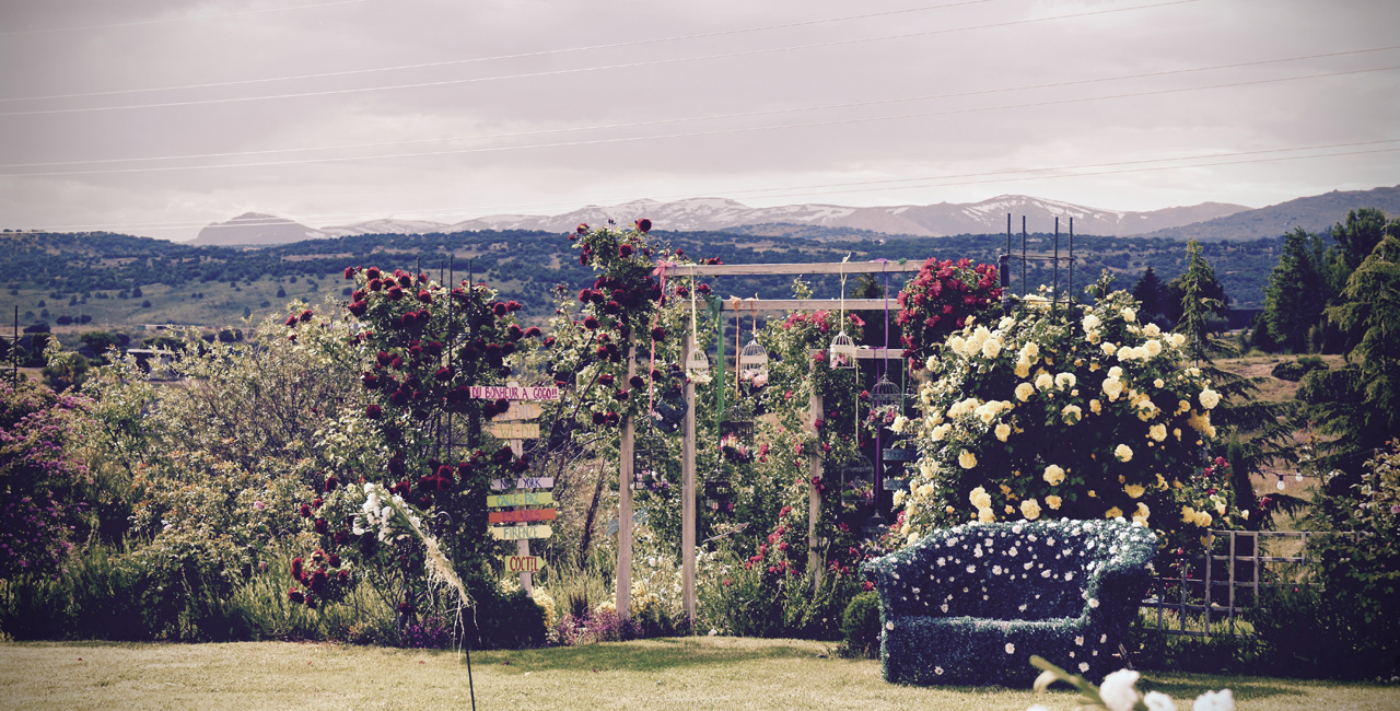 ilovebrides.pt Aal Cachucho
